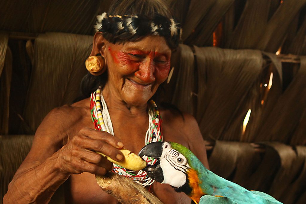 Orellana Camino Amazonico Caminos Andinos Ecuador