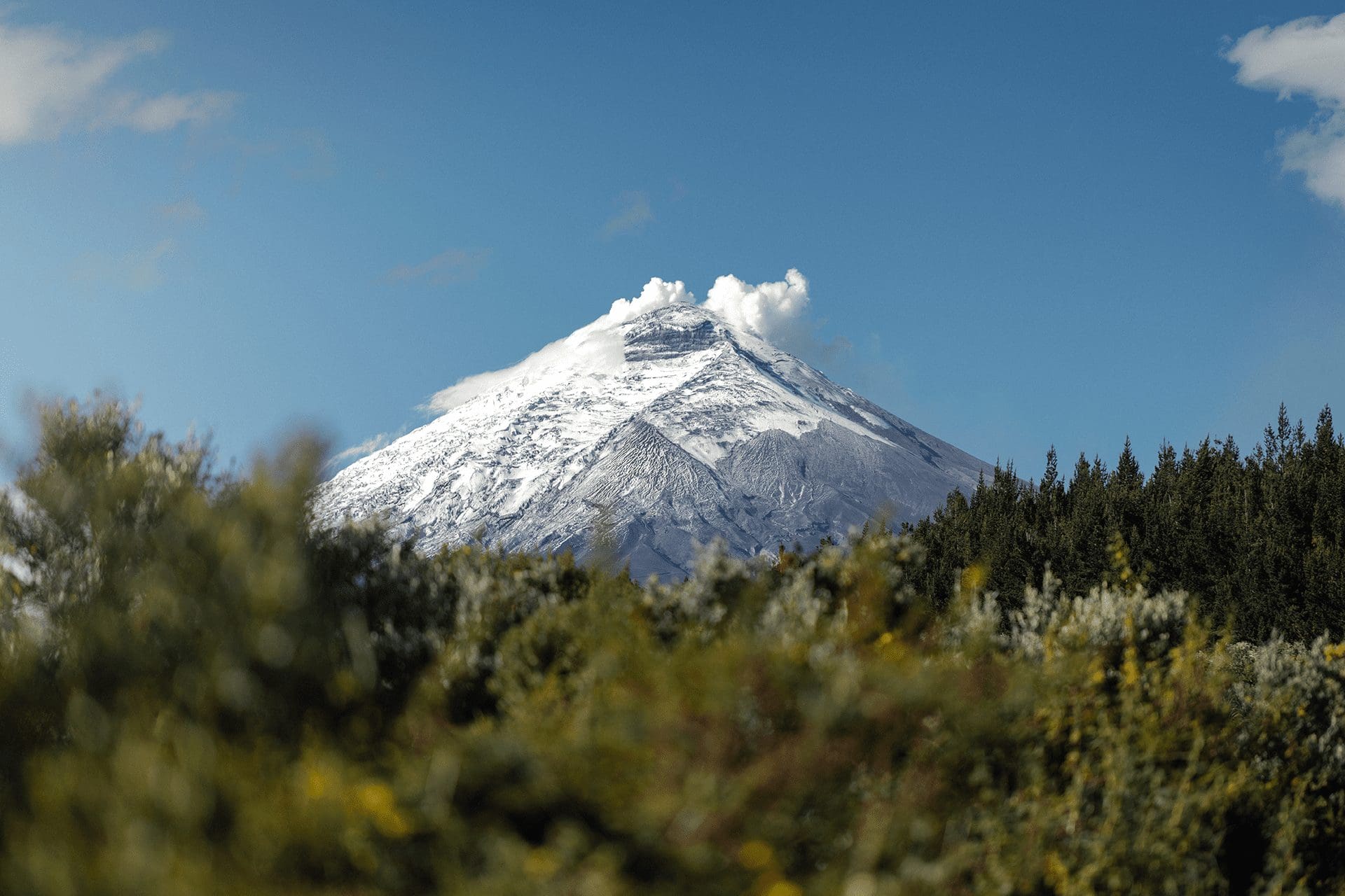 Ecuador Amazonia Yasuni Andes del Norte Costa Central Cuenca Equinoccial Loja - Vilcabamba Volcanes Chimborazo