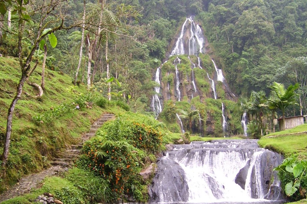 Risaralda Caminos Andinos