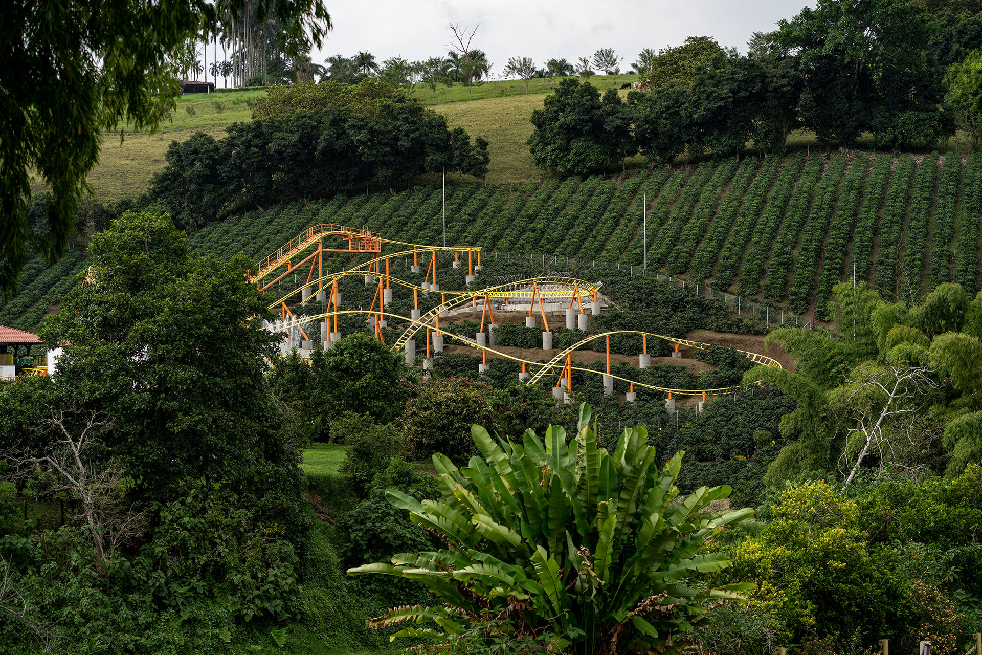 Andes Occidentales Colombianos