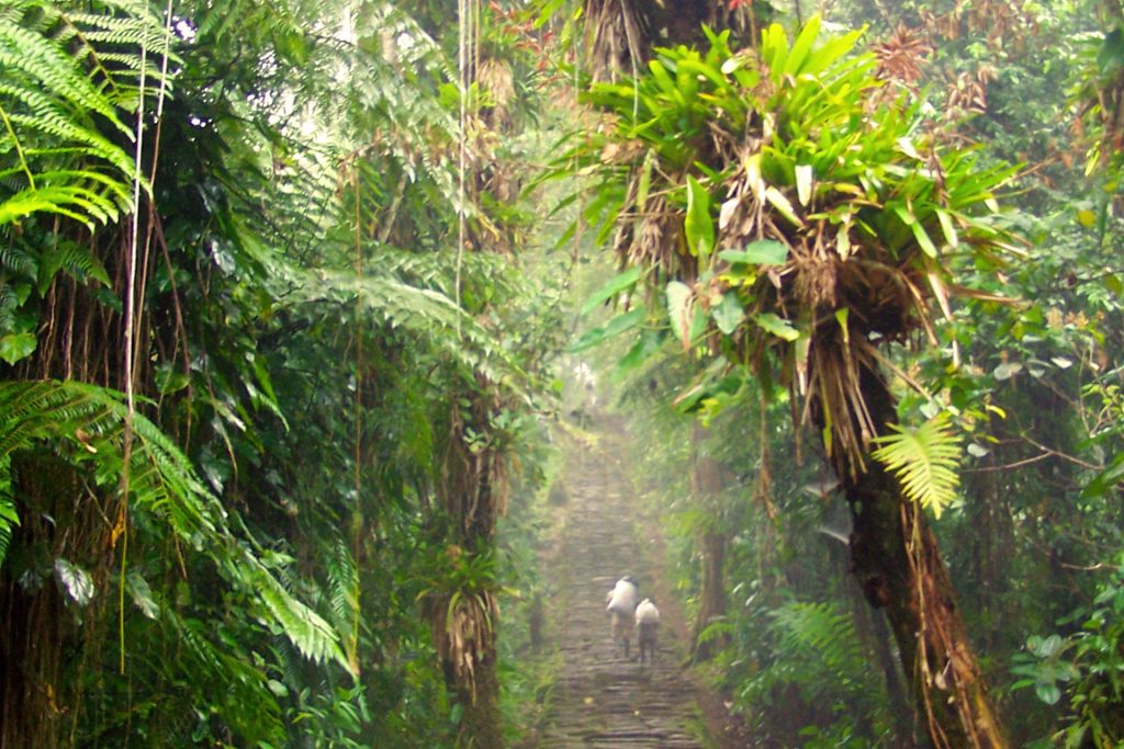 Magdalena Caminos Andinos