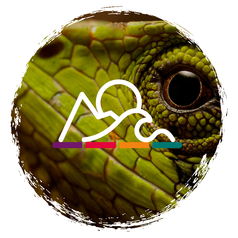 Naturaleza Comunidades Ancestrales y Ruralidad Gastronomia Artesanias Cultura