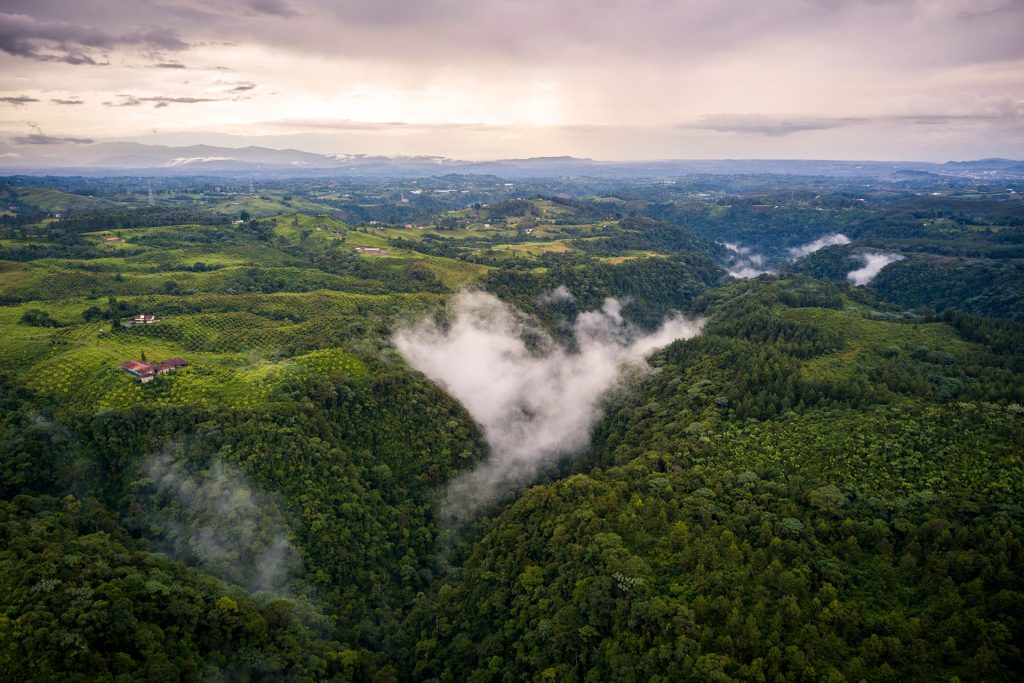 Risaralda Caminos Andinos