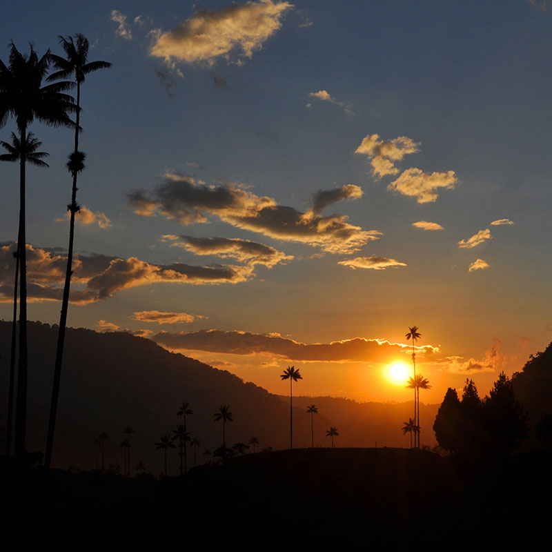 Home Caminos Andinos Bolivia Colombia Ecuador Peru quindio